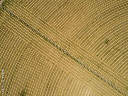Aerial Hay Patterns photo