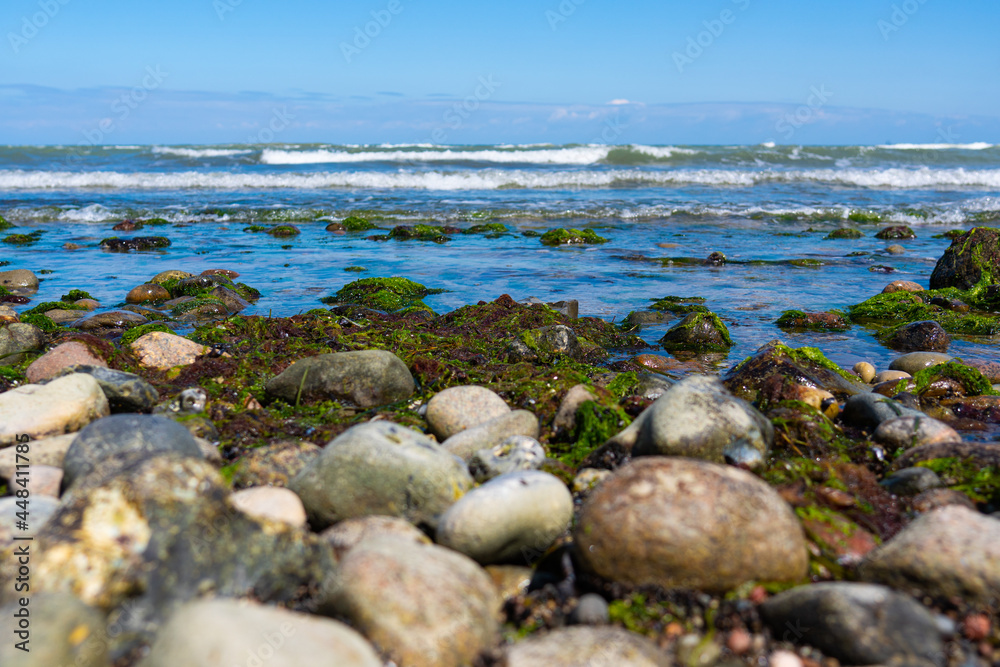 Stones covered with algae on the sandy beach of the Baltic Sea (inland sea) in bright sunshine and small waves