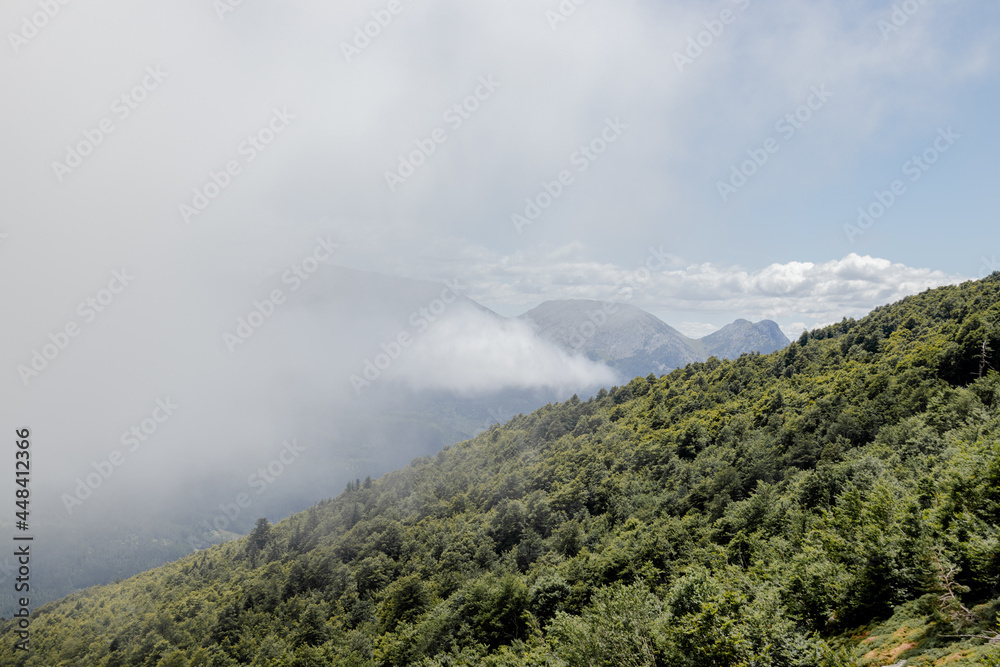 MOUNTAIN WITH FOG