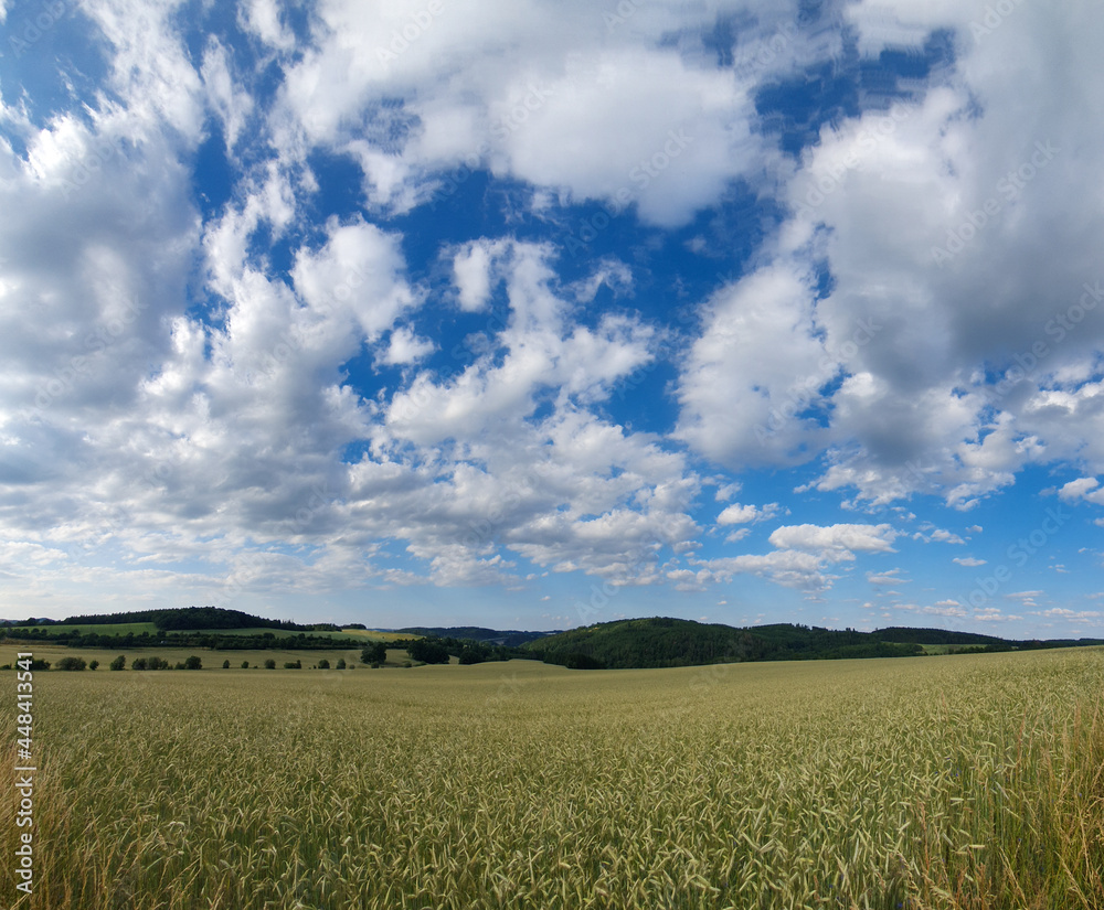 scenic panorama view of natural landscape under a cloudy sky scenic panorama view of natural landscape under a cloudy sky
