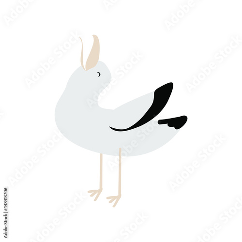  seagull laughs on the white background