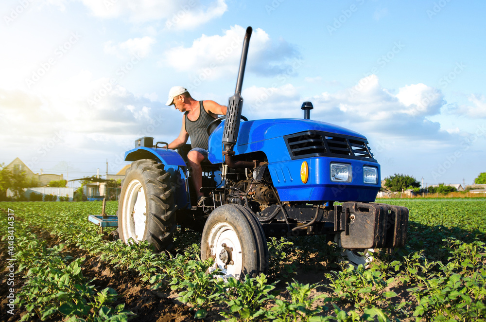 Obraz premium A farmer on a tractor cultivates a potato plantation. Agroindustry and agribusiness. Field work cultivation. Farm machinery. Work on the farm. Soil quality improvement. Plowing and loosening ground