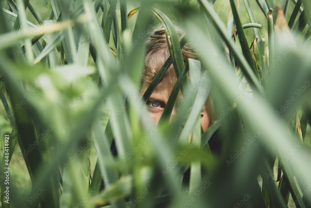 child blue eye in grass