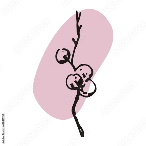 The plant is drawn by hand with a pen and translated into vector format. In the background there is an abstract colored spot. Stock vector illustration. For garment decoration, packaging, interior