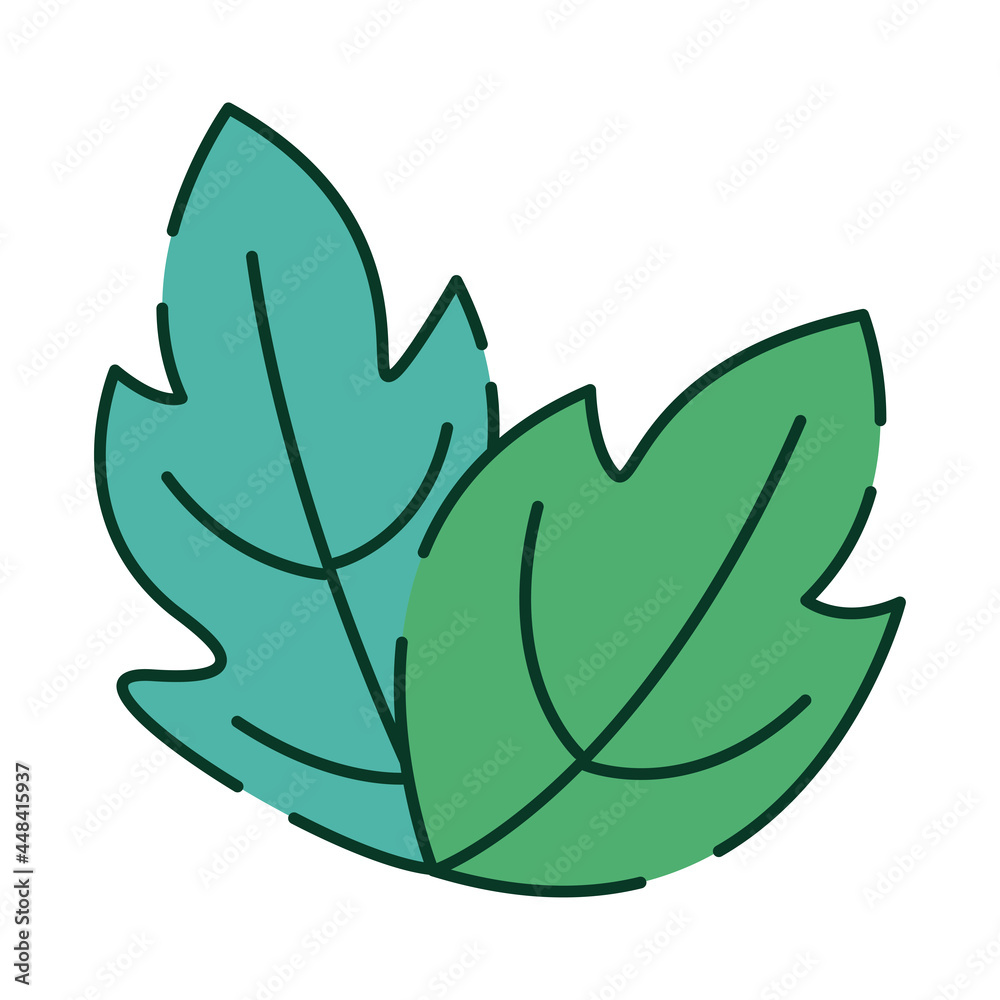 ecology leafs plant ecology leafs plant