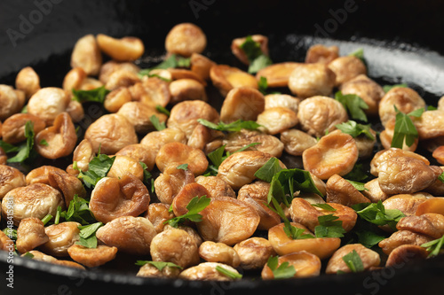 Quadro su tela Cooking edible puffball mushrooms