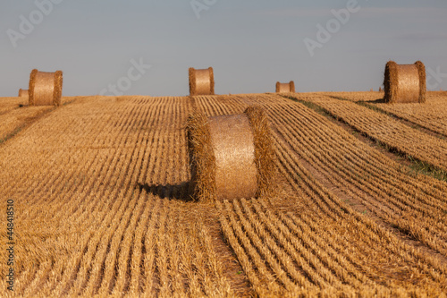 Fototapeta Naklejka Na Ścianę i Meble -  View of the Masurian fields.