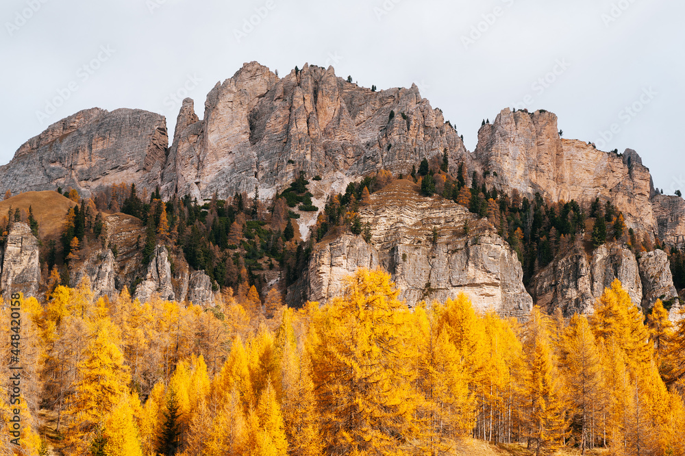 Obraz premium beautiful golden autumn in the mountains. natural background. Dolomites Alps, Italy. autumn landscape
