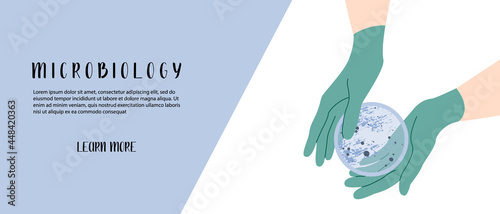 Scientist's hand in glove holding Petri dish, plate with agar, bacterial colony. Bacteriology. Microbiology. Laboratory test, bacteriological swab, chemical analysis. Vector flat cartoon illustration