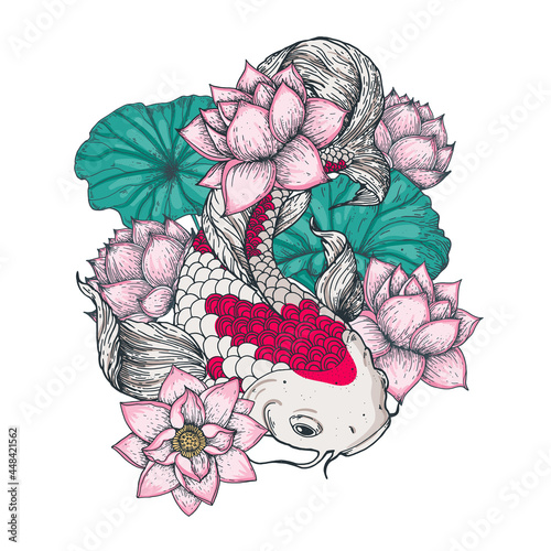 Koi carp with water lilies flowers. Vector illustration. Tattoo print. Hand drawn illustration for t-shirt print, fabric and other uses.