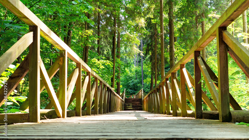 Beautiful wooden eco trail with stairs in the mountain forest close-up with copy space. Wooden decking path for hiking. Advertising of the tourist route for the booklet. An equipped road for tourists.