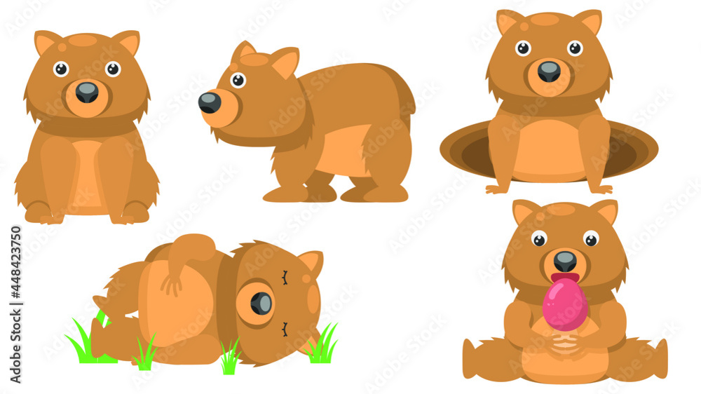 Fototapeta premium Set Abstract Collection Flat Cartoon Different Animal Wombat Sleep, Is Sitting, Eating Mushroom, Peeps Out Of The Hole Vector Design Style Elements Fauna Wildlife