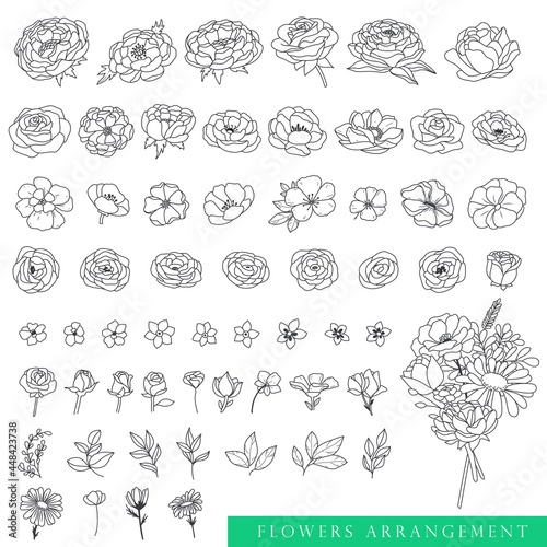 Collection of beautiful flowers. Vector Floral illustration. Art Design Leaf roses. Nature floral objects. Line art.