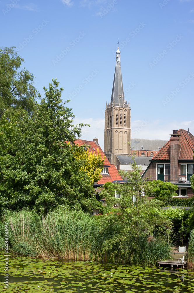Cityscape with the Martinikerk and a pond with water lilies in the foreground in Doesburg in the Netherlands 