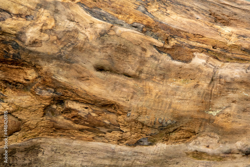 drewno wypłukane przez wodę naturalne wallpaper tapeta tło