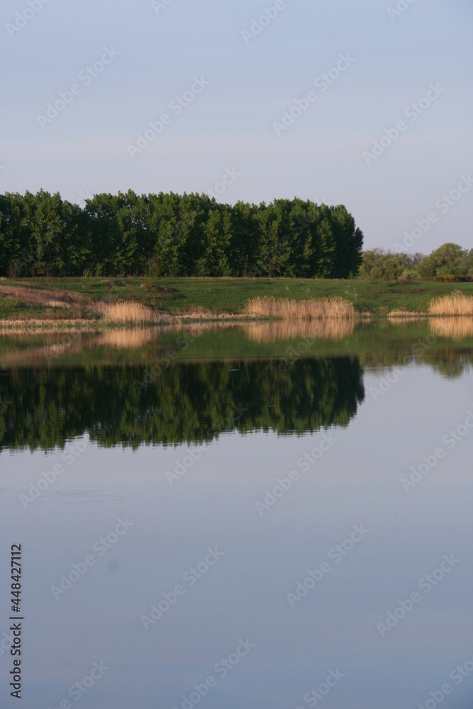 Obraz premium reflection of trees in the water