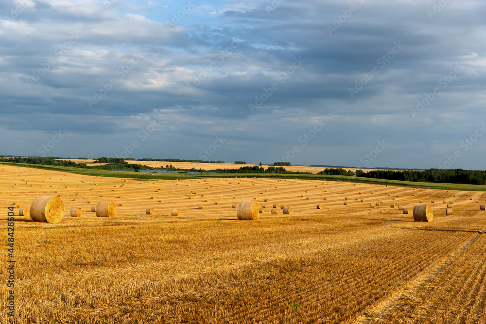 Round sheaves of straw against the background of the field to the horizon and the beautiful sky. Round sheaves of straw against the background of the field to the horizon and the beautiful sky.