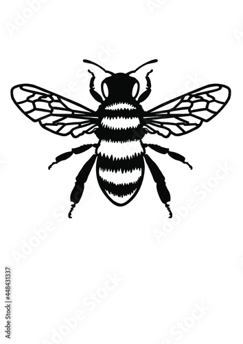 bee
