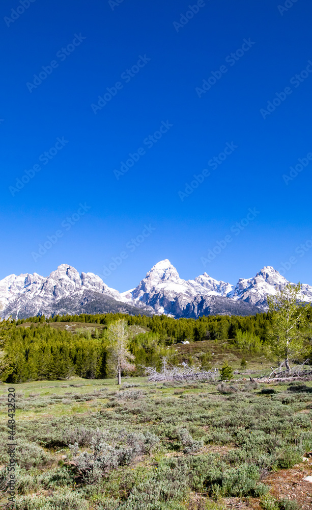 Grand Teton National Park in Wyoming at the end of May