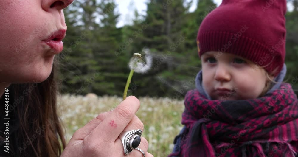 Close up shot of the face and mouth of a beautiful young woman, gently blowing on a dandelion, while her son watches with curiosity and awe. Close up shot of the face and mouth of a beautiful young woman, gently blowing on a dandelion, while her son watches with curiosity and awe.