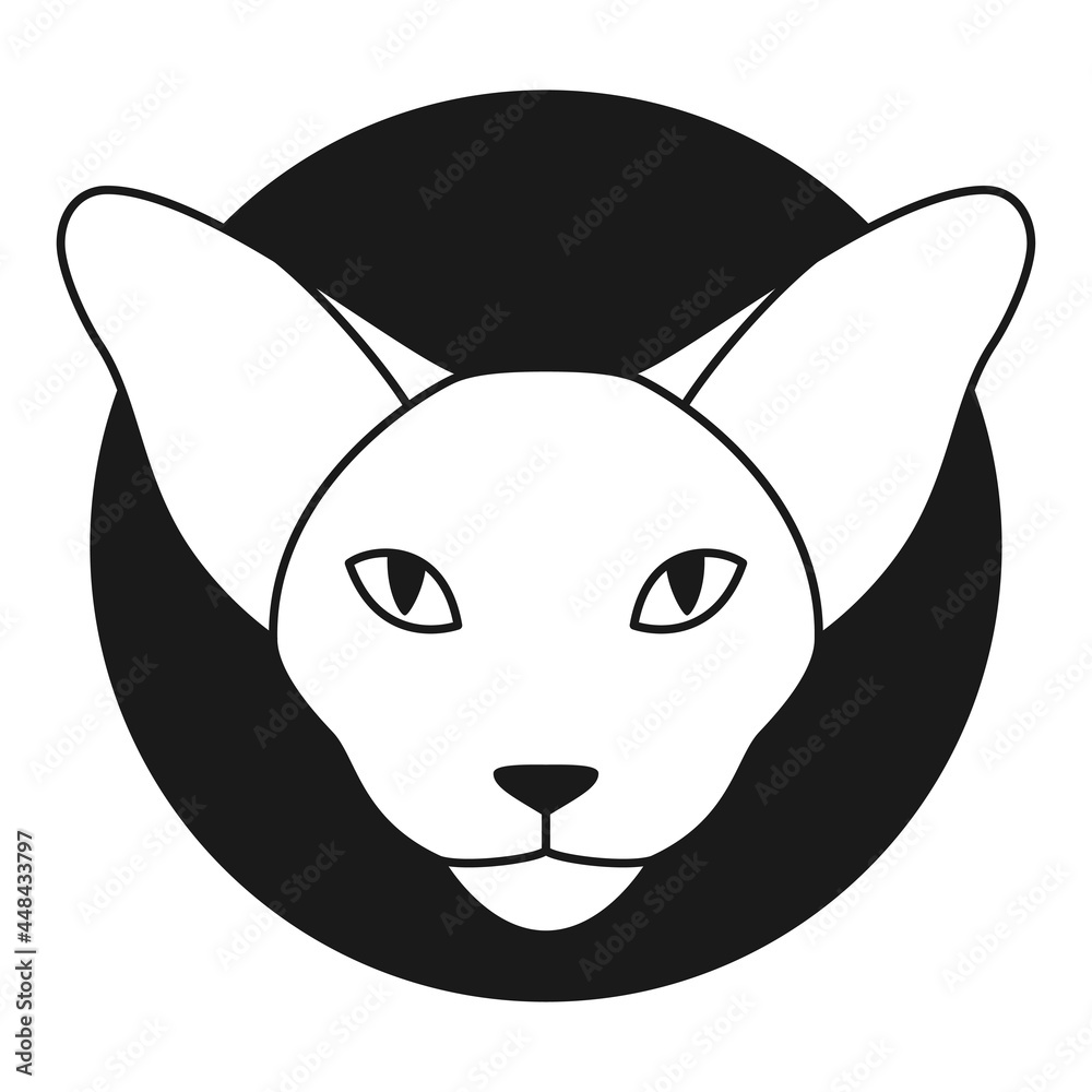 Oriental cat logo or icon. Oriental shorthair or Sphynx cat head in outline style. Front view. Vector Oriental cat logo or icon. Oriental shorthair or Sphynx cat head in outline style. Front view. Vector