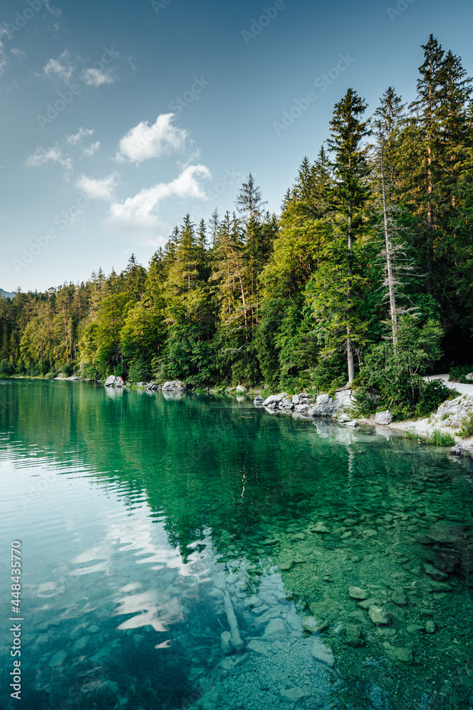 lake and forest in bavaria