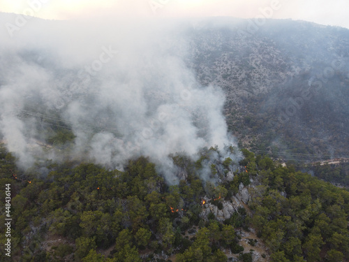 Summer forest fires. Smoke of a forest fire obscures the sun. Natural disasters. Bogsak, Mersin province, Turkey. Aerial view
