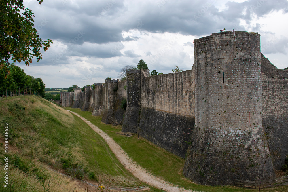 Ruin castle - Provins - France
