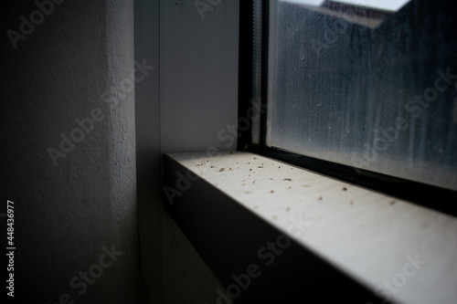 Empty space, dark background, windows, editing, lonely empty room