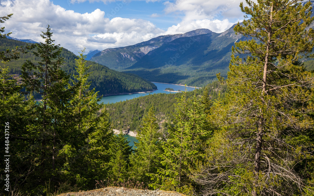 custom made wallpaper toronto digitalRoss Lake at North Cascades National Park Summer in Washington State during summer.