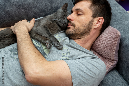 happy gray cat sleeps, hugs on the shoulder, chest of a man