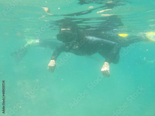 person snorkeling in the sea