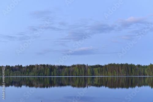 lake in the forest