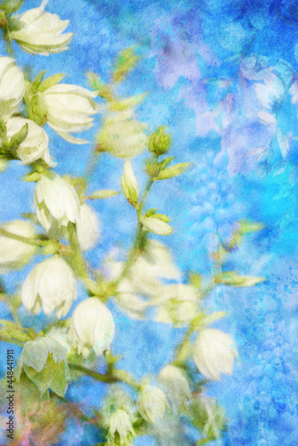 Painterly artwork White Yucca Bell flowers