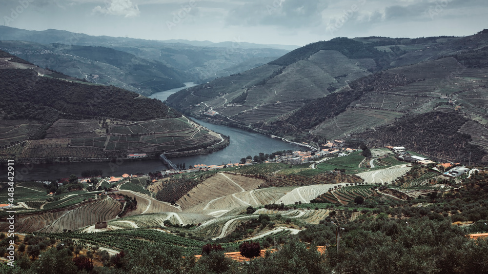 Top view of Dour river and vineyards are on a hills at Douro Valley, northern Portugal.