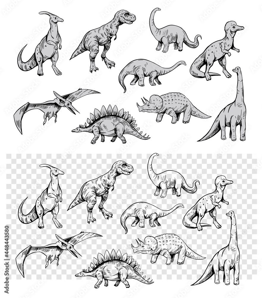 Naklejka Set of dinosaurs isolated on white background,vector sketch illustration. Vintage style