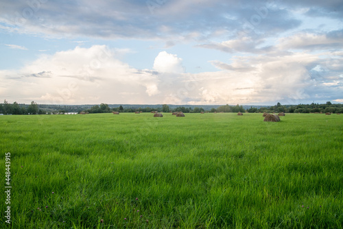 field and blue sky