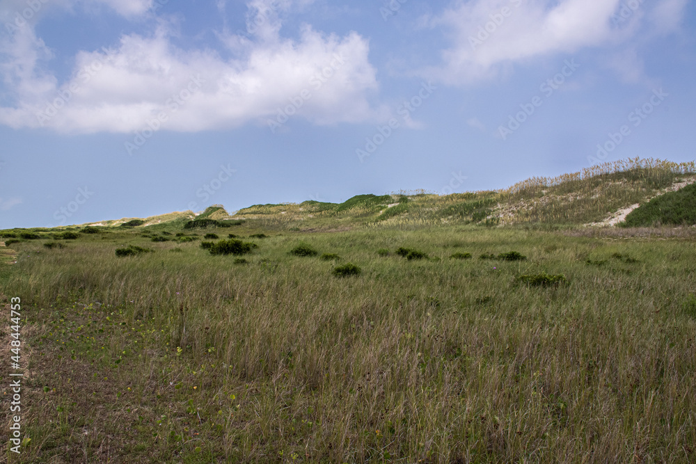 Large Sandunes on the Outer Banks