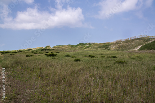 Large Sandunes on the Outer Banks photo