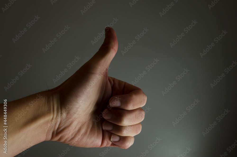 closed hand with thumb up in ok sign closed hand with thumb up in ok sign