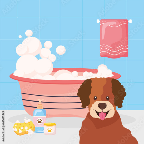 dog taking a bath