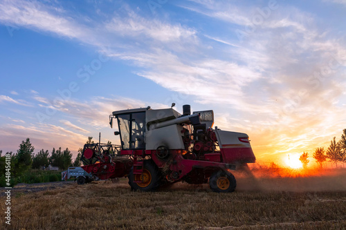 The combine is harvesting the wheat in the evening