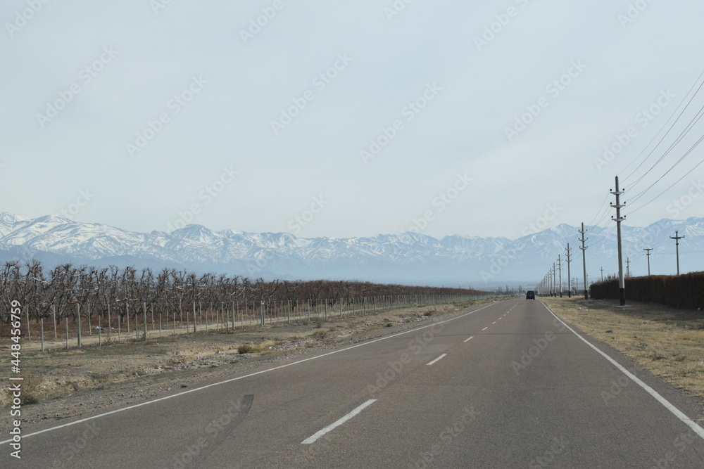 Fototapeta premium Mendoza, Argentina.