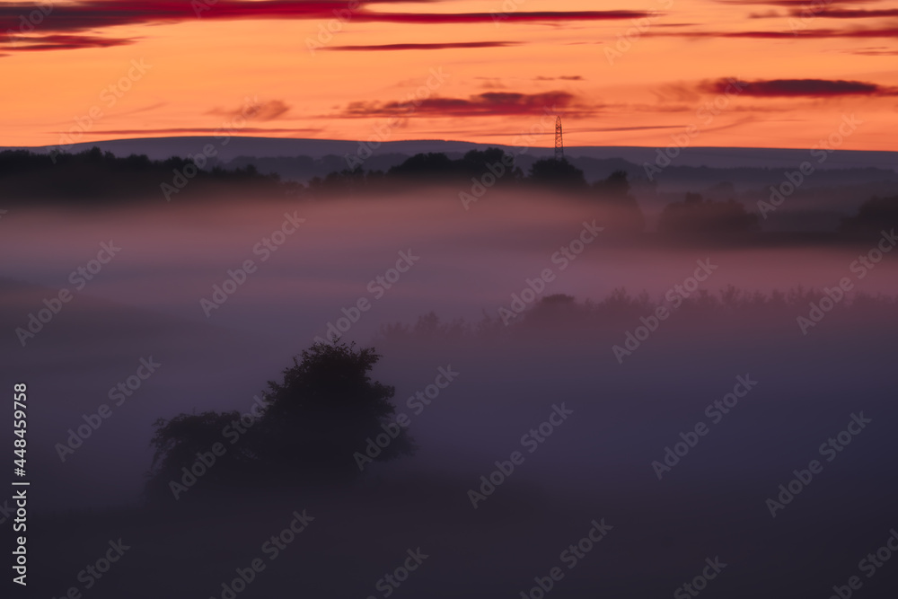 Fog Fog