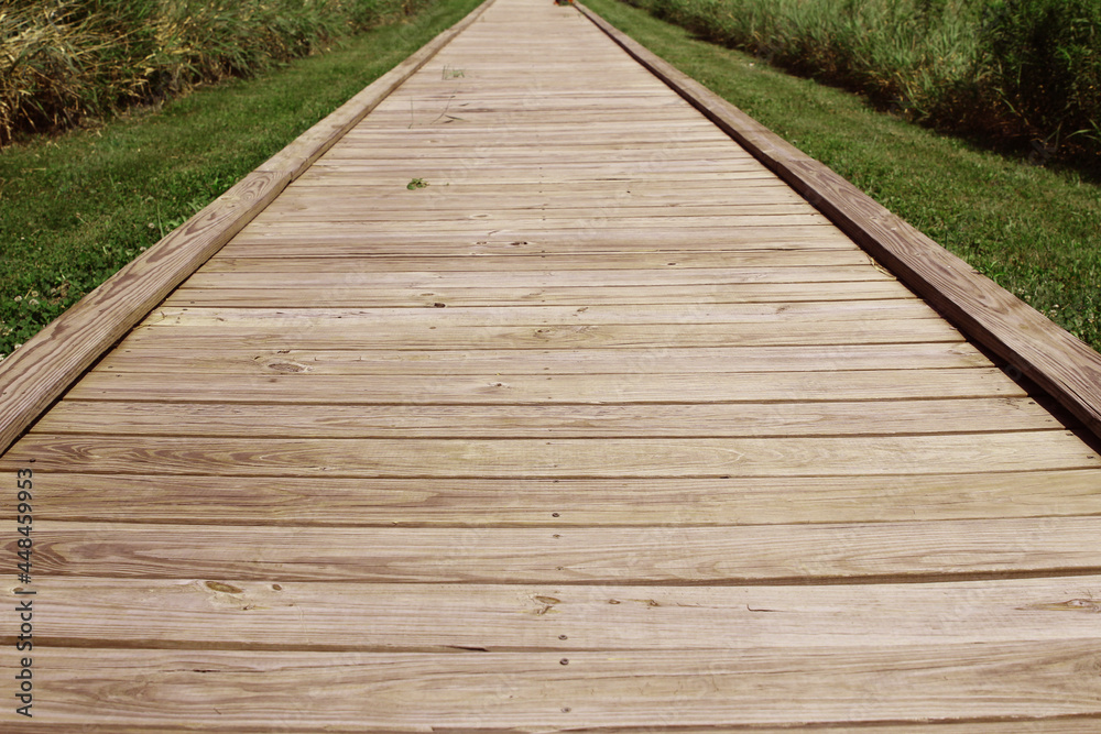 wooded bridge, wooded path, wooded pathway wooded bridge, wooded path, wooded pathway