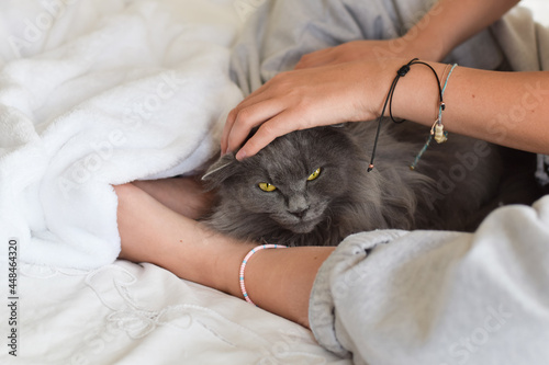 Girl sitting on bed petting grey fluffy cat with yellow eyes