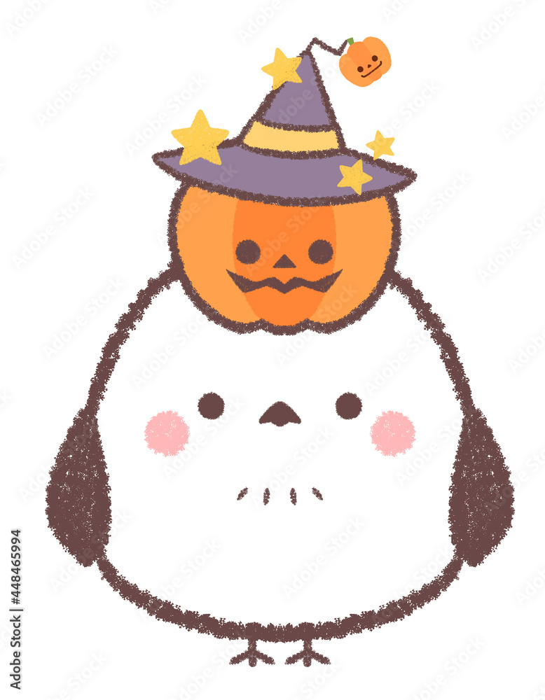 シマエナガとハロウィンのカボチャ シマエナガとハロウィンのカボチャ