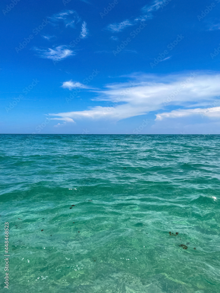 Fototapeta premium turquoise waves crashing on the beach