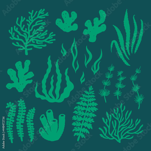 Summer time graphic. Underwater set of silhouettes for design. Flat vector illustration with isolated marine objects. Seaweed  coral  reef  sea sponges