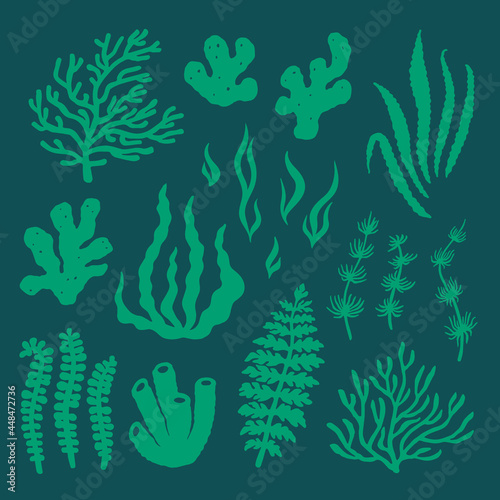 Summer time graphic. Underwater set of silhouettes for design. Flat vector illustration with isolated marine objects. Seaweed, coral, reef, sea sponges